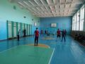 Дружеская встреча по волейболу учащихся Козенской средней школы и Криничанской средней школы