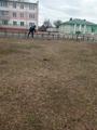 Благоустройство памятных мест