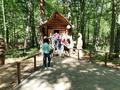 Экскурсия в агрогородок Лясковичи и Припятский заповедник