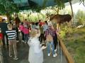 Экскурсия в агрогородок Лясковичи и Припятский заповедник