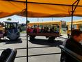 Экскурсия в агрогородок Лясковичи и Припятский заповедник