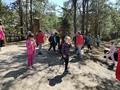 Экскурсия в агрогородок Лясковичи и Припятский заповедник