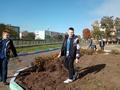 Трудовое воспитание