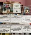 Библиотечный час 