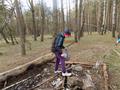 Акция по уборке леса 