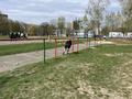 Республиканская военно- патриотическая игра «Орлёнок»