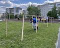 Зарничка