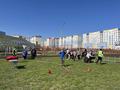 Зарничка