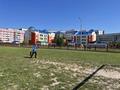 Зарничка
