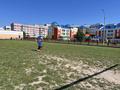 Зарничка