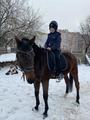 5В Экскурсия на частную конюшню «Лошадиный рай»