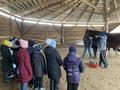 5В Экскурсия на частную конюшню «Лошадиный рай»