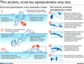 ОСВОД информирует