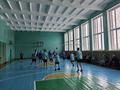 Товарищеская встреча по волейболу 