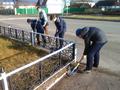 Благоустройство памятных мест, 8 