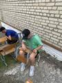 Трудовая акция 