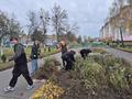 Трудовой десант 9 