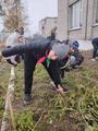 Трудовой десант 5 