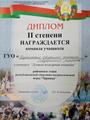 Районная военно-патриотическая игра Зарница