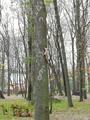 Экскурсия в лицей МЧС и дворцово-парковый ансамбль