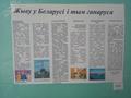 Конкурс стенгазет в рамках проведения недели истории