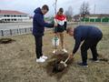 Благоустройство памятных мест