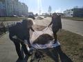 Педагоги и технический персонал приняли участие в районном субботнике