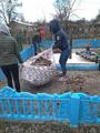 Благоустройство памятных мест