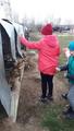 Посещение собачьего питомника 