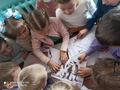 Квест среди вторых классов
