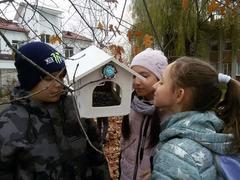 День птиц