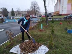 Субботник по благоустройству территории
