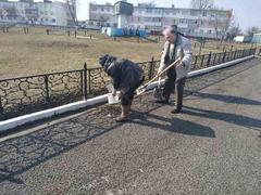 Субботник