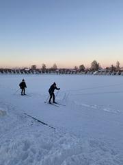 Лыжня