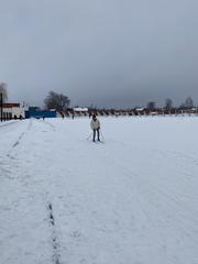 Лыжня