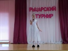 Рыцарский турнир