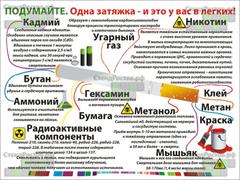 Профилактика правонарушений