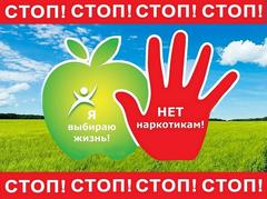 Профилактика правонарушений