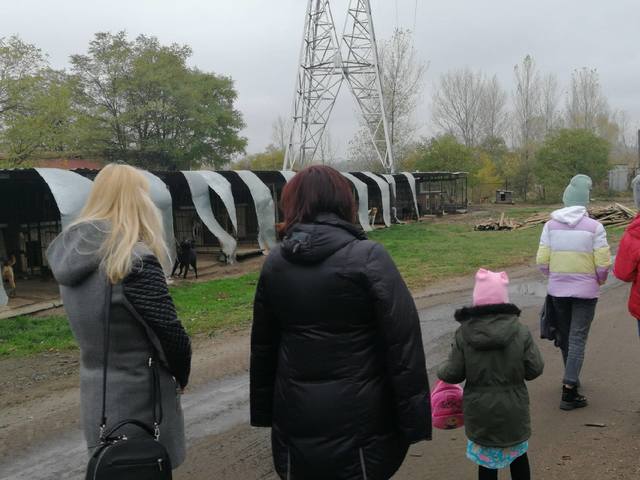 Акция 