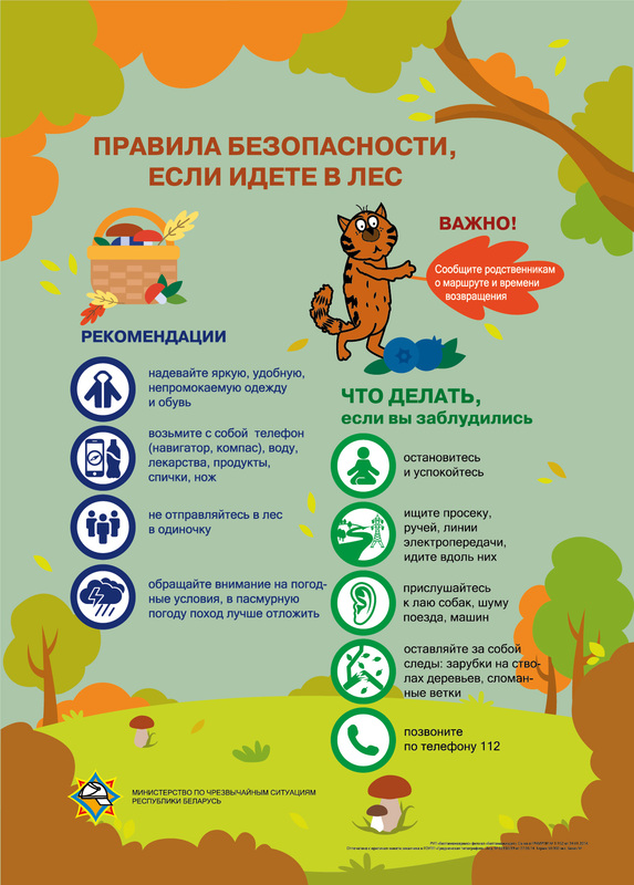 Безопасность в летний период